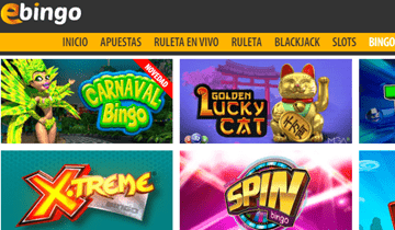 ebingo salas de bingo online